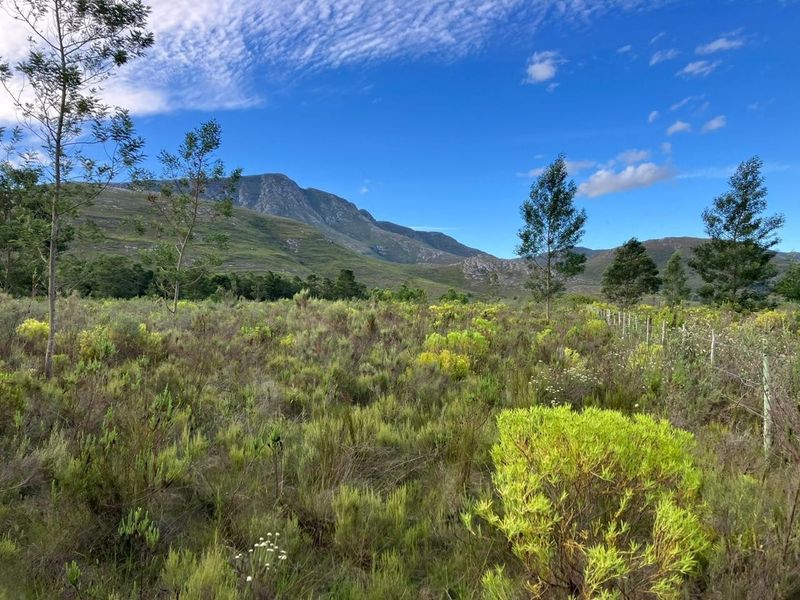 Farm For Sale - Photo 1