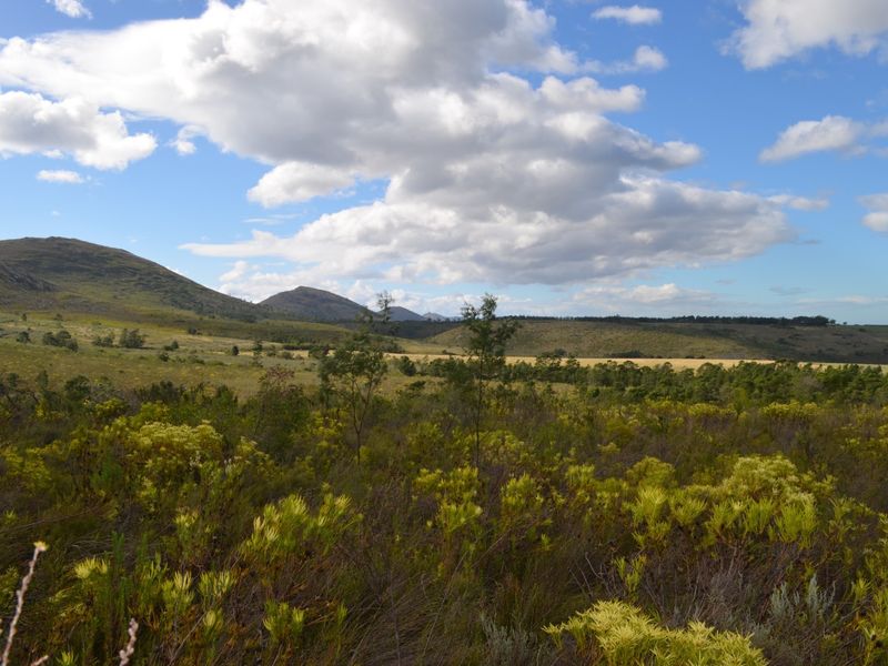 Farm For Sale - Photo 4
