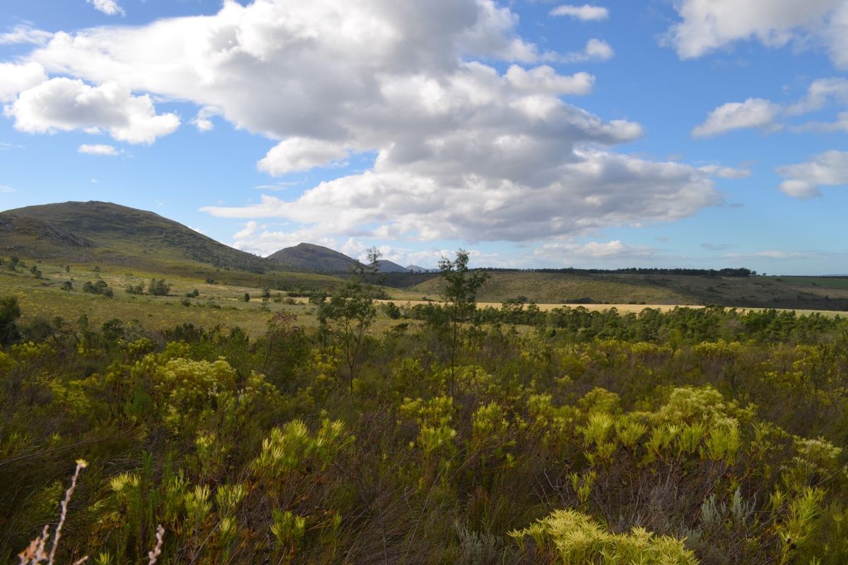 Farm For Sale - Photo 4