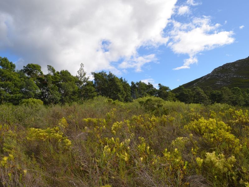 Farm For Sale - Photo 10