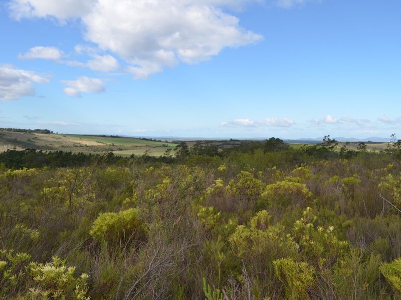 Farm For Sale - Photo 7