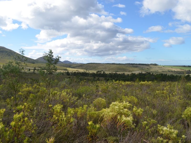 Farm For Sale - Photo 9
