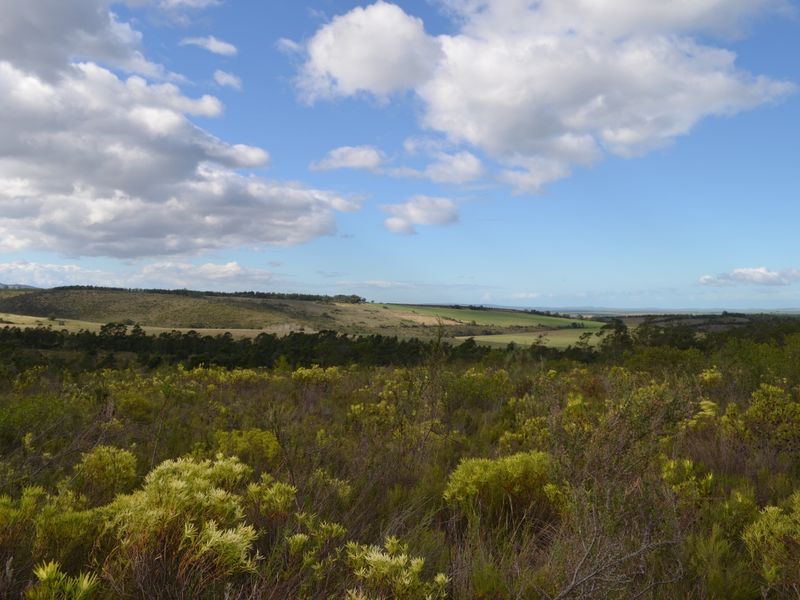 Farm For Sale - Photo 8