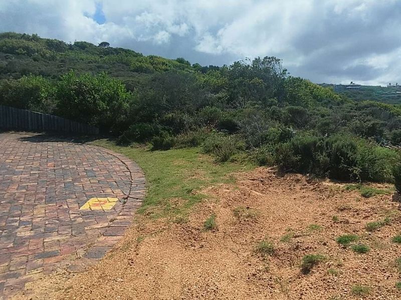 Exceptional Sea View Stand in Moquini Coastal Estate! - Photo 8