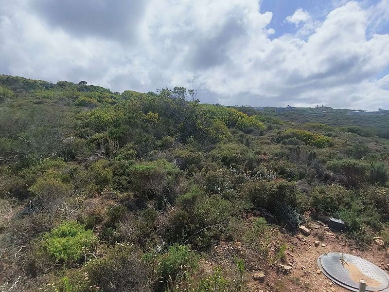 Exceptional Sea View Stand in Moquini Coastal Estate! - Photo 4