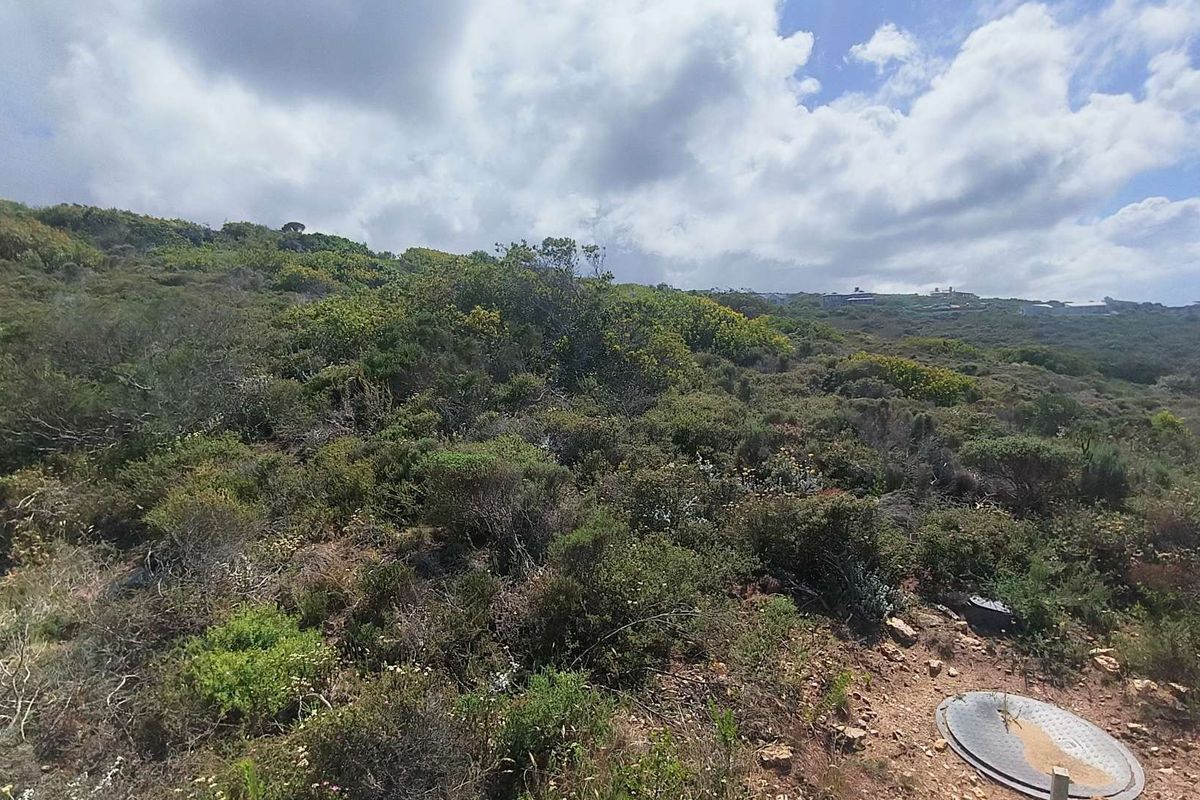 Exceptional Sea View Stand in Moquini Coastal Estate! - Photo 4