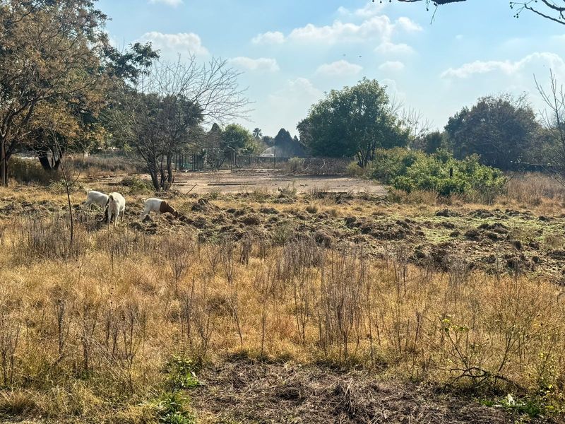 2.55ha For Sale in Glenferness - Photo 7