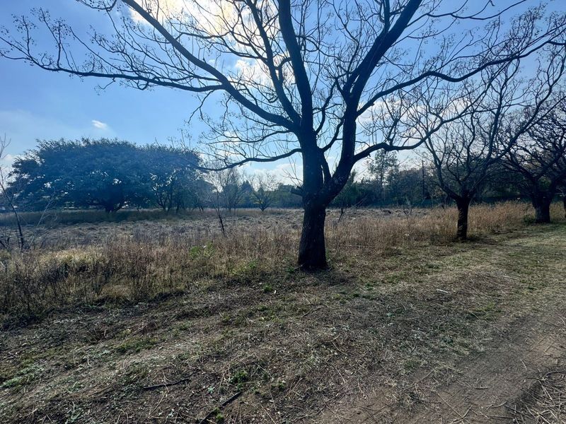 2.55ha For Sale in Glenferness - Photo 4