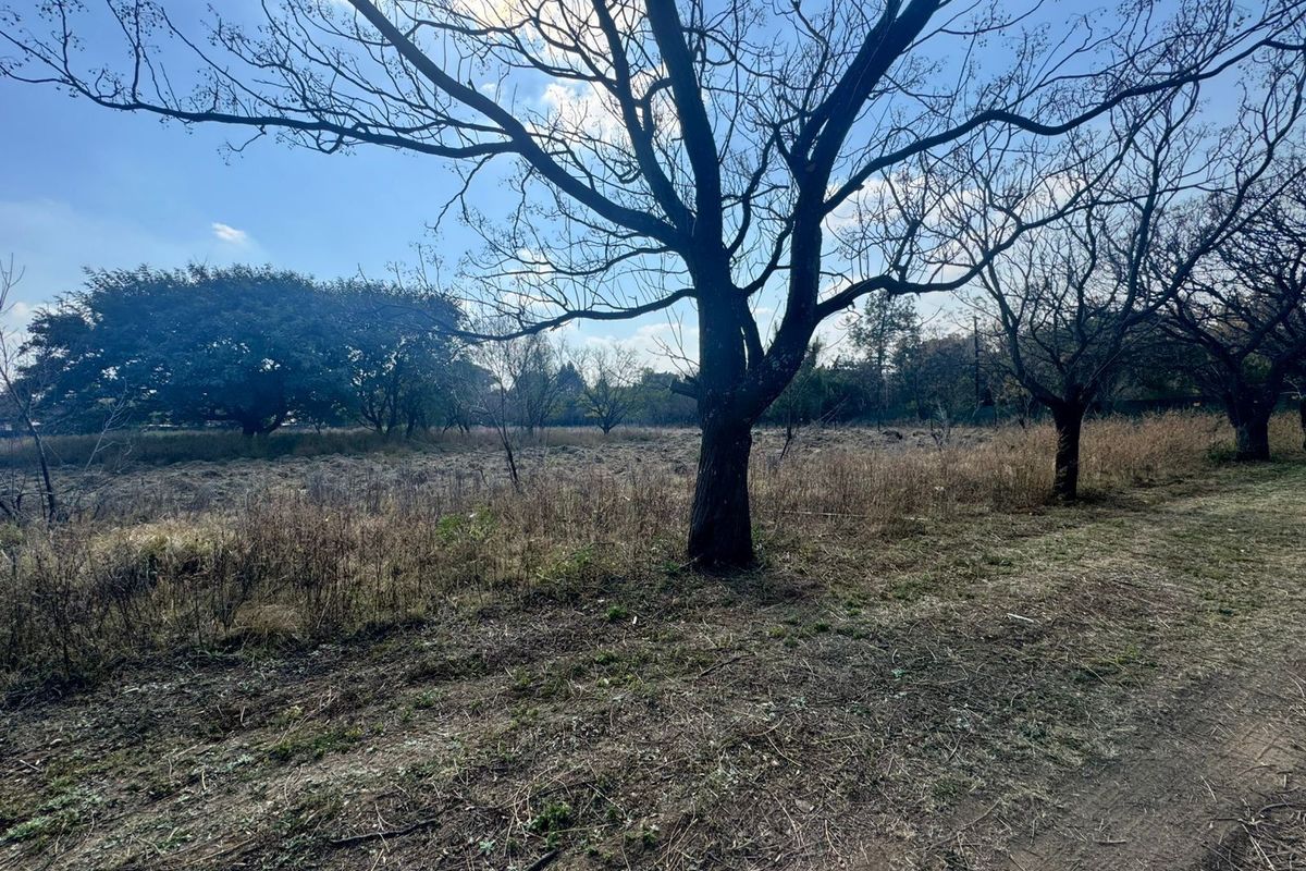 2.55ha For Sale in Glenferness - Photo 4