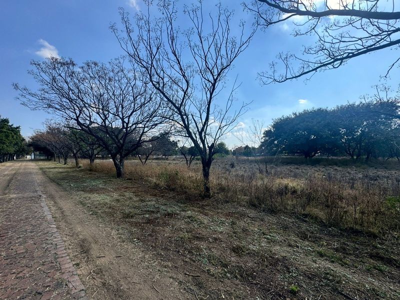 2.55ha For Sale in Glenferness - Photo 5