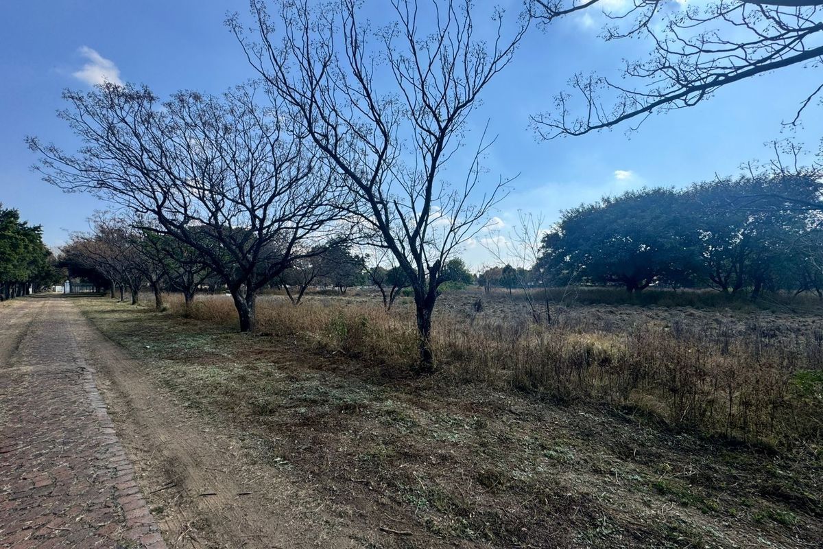 2.55ha For Sale in Glenferness - Photo 5