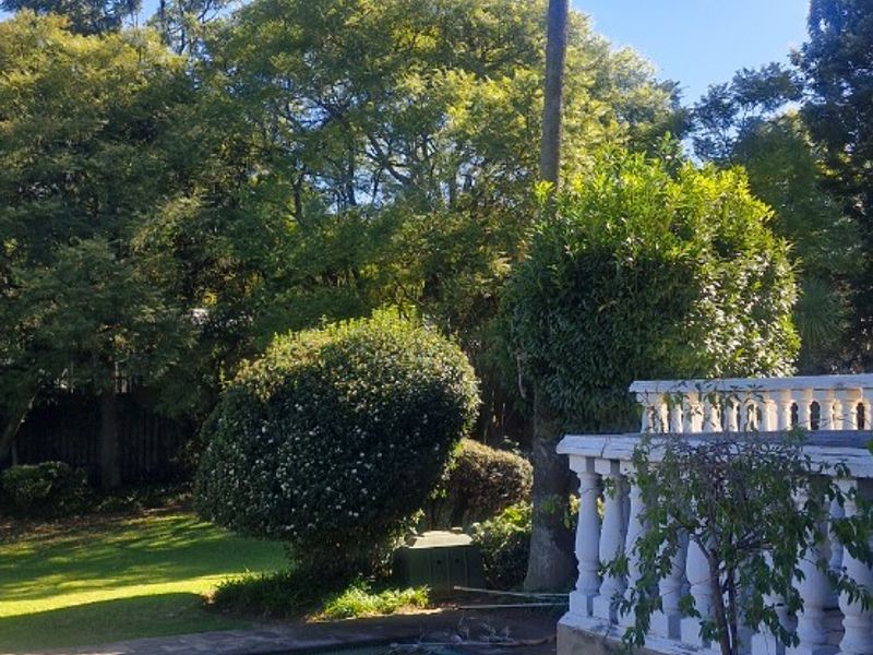 Grand Northcliff Family Home with Breathtaking Views and Unlimited Potential - Photo 8