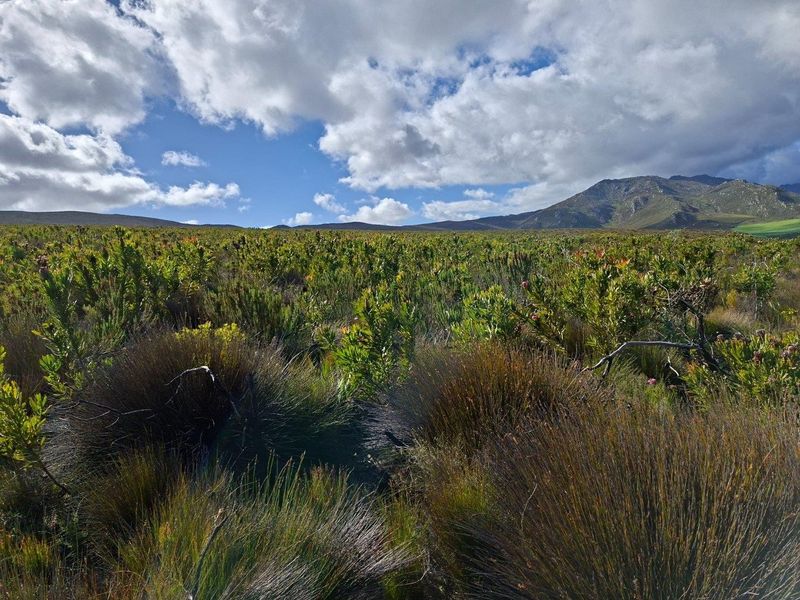 Farm For Sale in Riversdale Rural, Riversdale - Photo 1