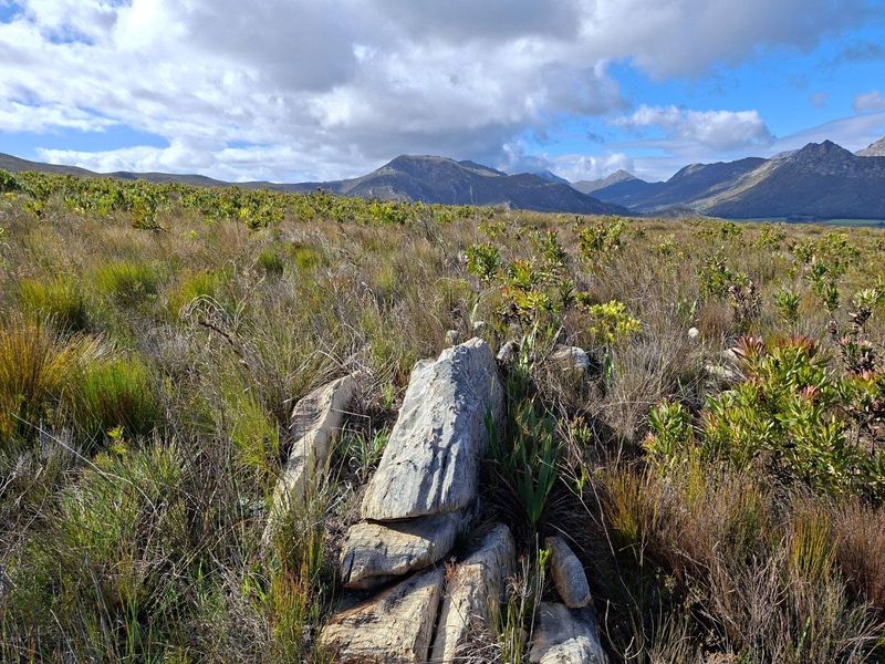 Farm For Sale in Riversdale Rural, Riversdale - Photo 5