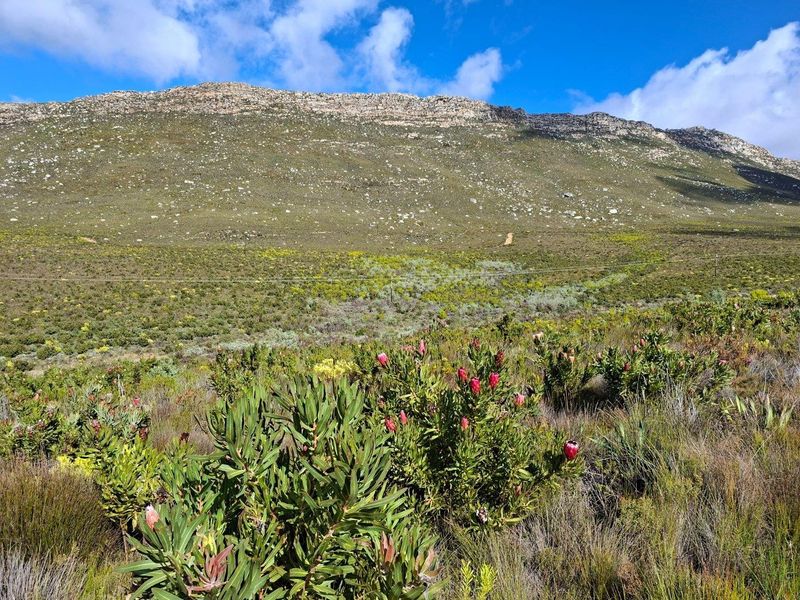 Farm For Sale in Riversdale Rural, Riversdale - Photo 4