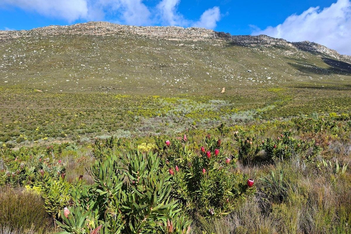 Farm For Sale in Riversdale Rural, Riversdale - Photo 4