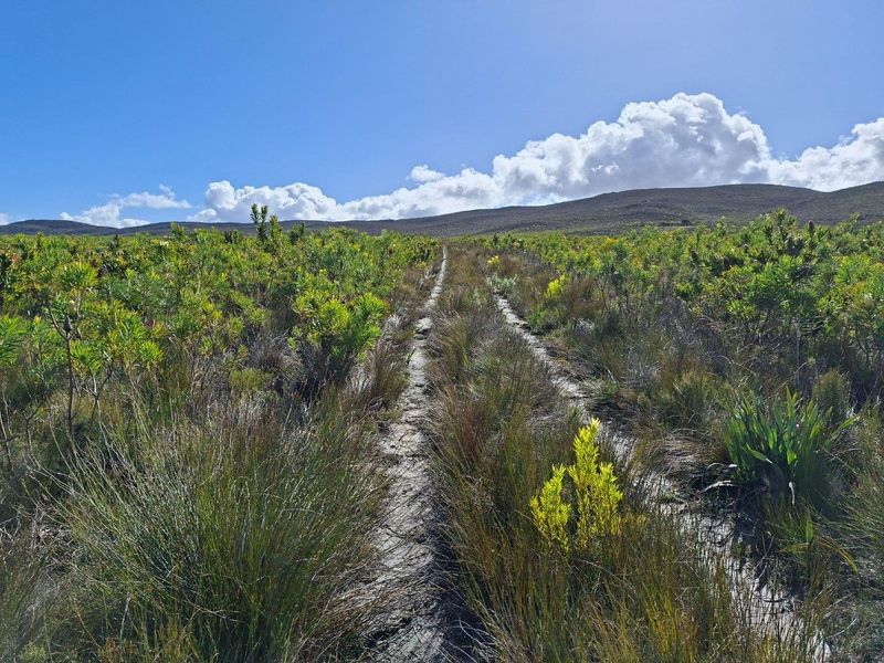 Farm For Sale in Riversdale Rural, Riversdale - Photo 8