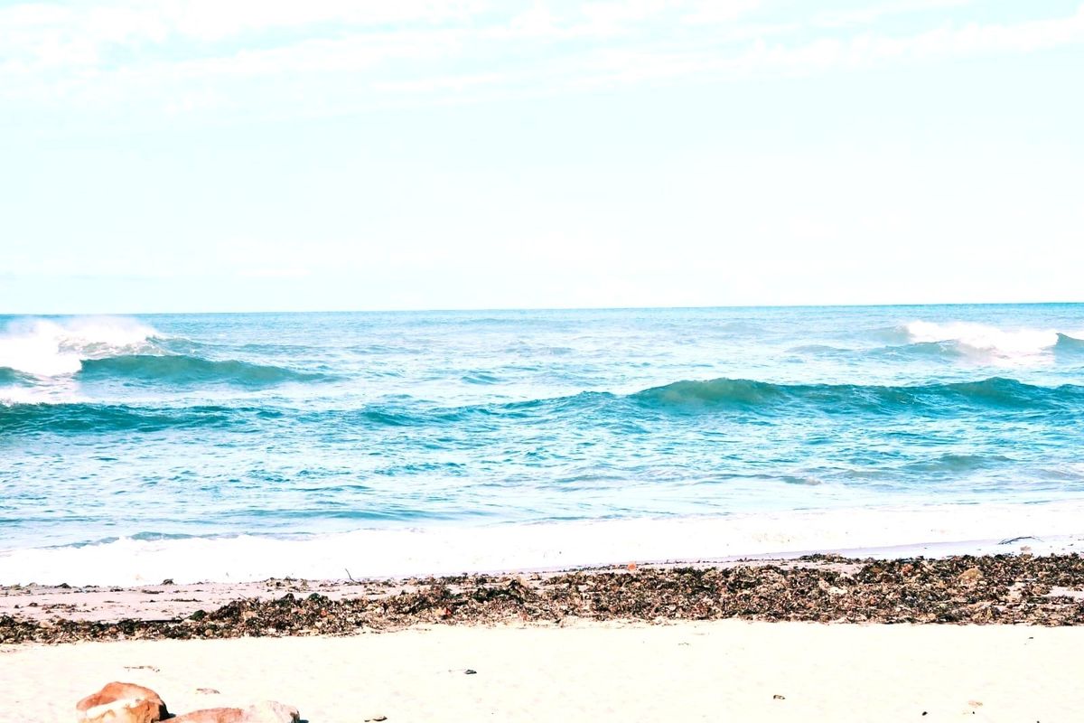 EXCLUSIVE MANDATE: Luxury,  Canal-Front   | Minutes from the Beach | Marina Martinique, Jeffreys Bay - Photo 3