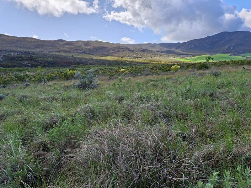 Farm For Sale in Riversdale Rural, Riversdale - Photo 7