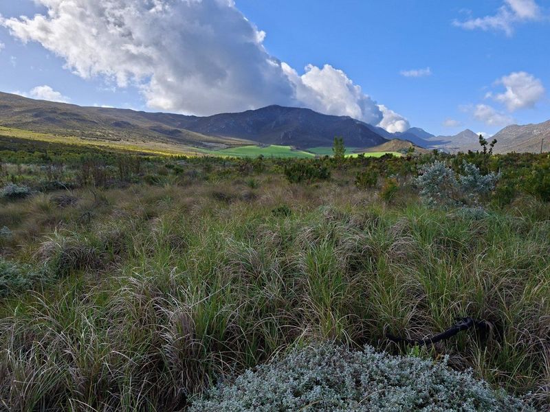 Farm For Sale in Riversdale Rural, Riversdale - Photo 6