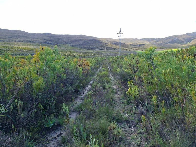 Farm For Sale in Riversdale Rural, Riversdale - Photo 10