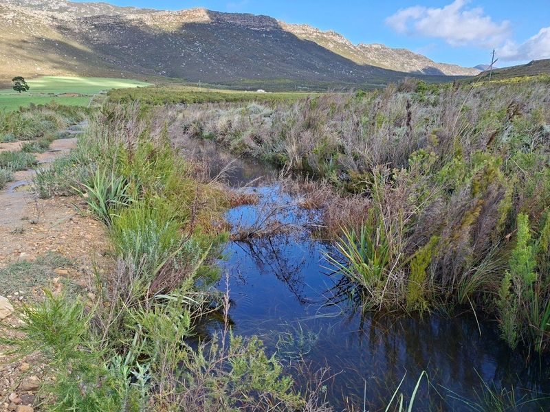 Farm For Sale in Riversdale Rural, Riversdale - Photo 1