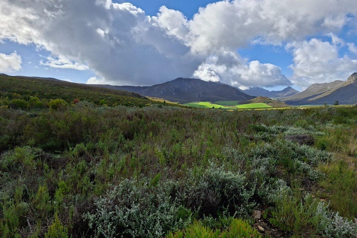 Farm For Sale in Riversdale Rural, Riversdale - Photo 2