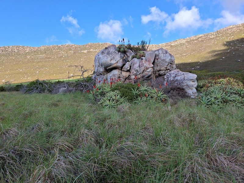 Farm For Sale in Riversdale Rural, Riversdale - Photo 5