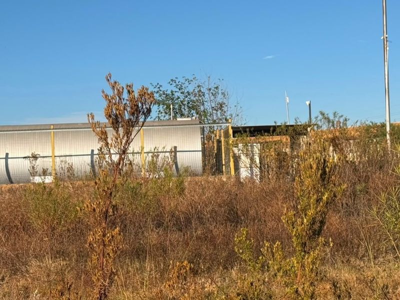 An industrial site view featuring perimeter fencing, utility structures, and tall lighting masts set within an overgrown, undeveloped outdoor area.