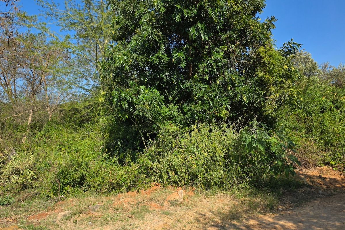 Build Your Dream Home in the Heart of the Lowveld - Photo 3