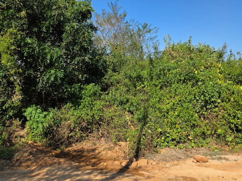 Build Your Dream Home in the Heart of the Lowveld - Photo 2