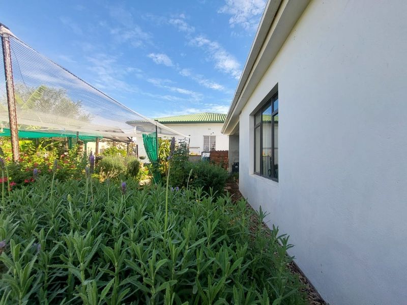 A view of the side exterior of the house featuring a garden area with established plants and protective netting.