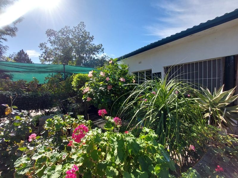 A view of the rear garden area featuring established landscaping, mature shrubs, and a shaded outdoor space adjacent to the house exterior.