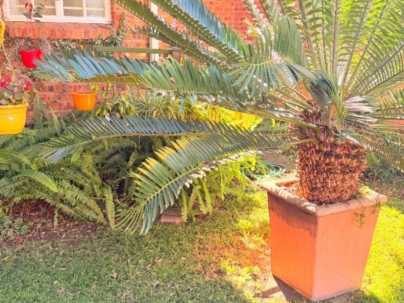 Townhouse For Sale in Schuinshoogte, Newcastle, KwaZulu Natal - Photo 3