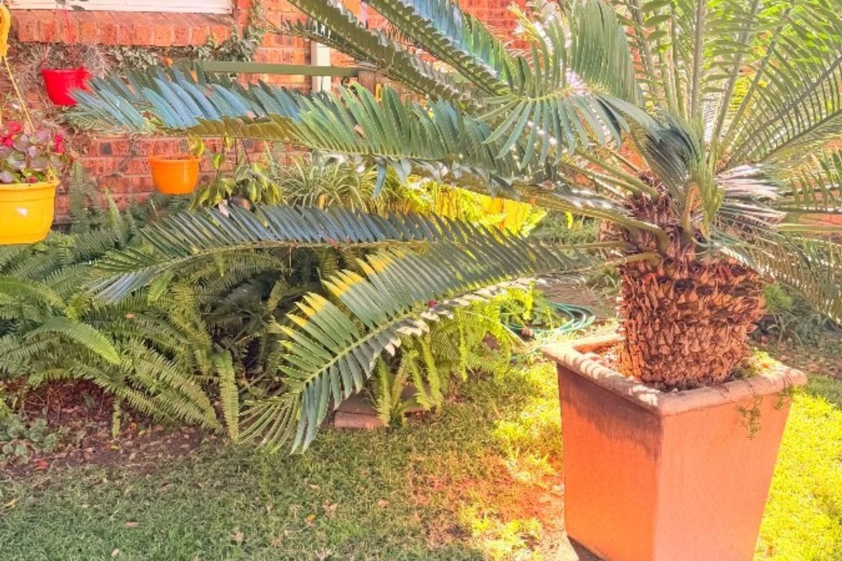 Townhouse For Sale in Schuinshoogte, Newcastle, KwaZulu Natal - Photo 3