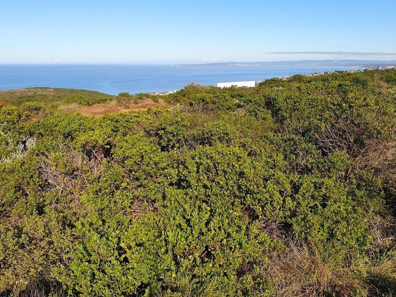 A scenic view overlooking the coastal landscape and ocean from the vacant residential land.