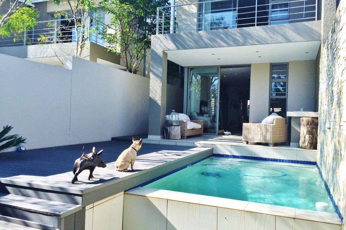 A private rear courtyard featuring a modern plunge pool, composite decking, and a covered patio area with direct access to the interior living space.