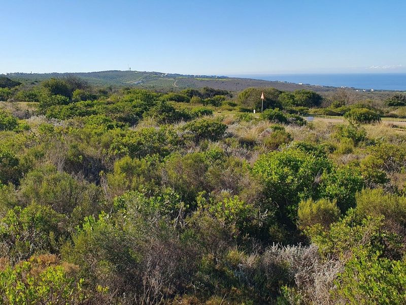 A scenic view of the coastal landscape and native vegetation on the vacant residential property.