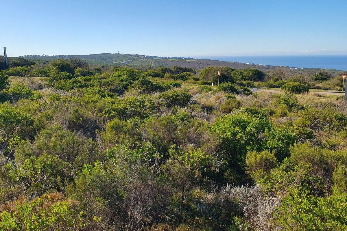 A scenic view of the coastal landscape and native vegetation on the vacant residential property.