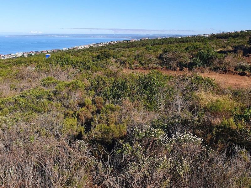 A scenic view of the coastal landscape and surrounding vegetation, showcasing the natural terrain of the vacant residential land.
