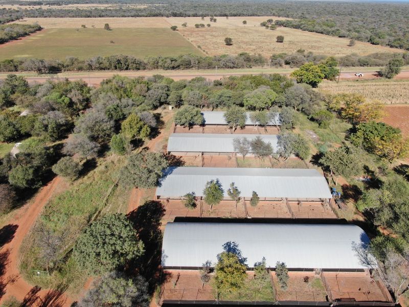Operational Chicken Farm for Sale - 20 Hectares in Bela Bela - Photo 2