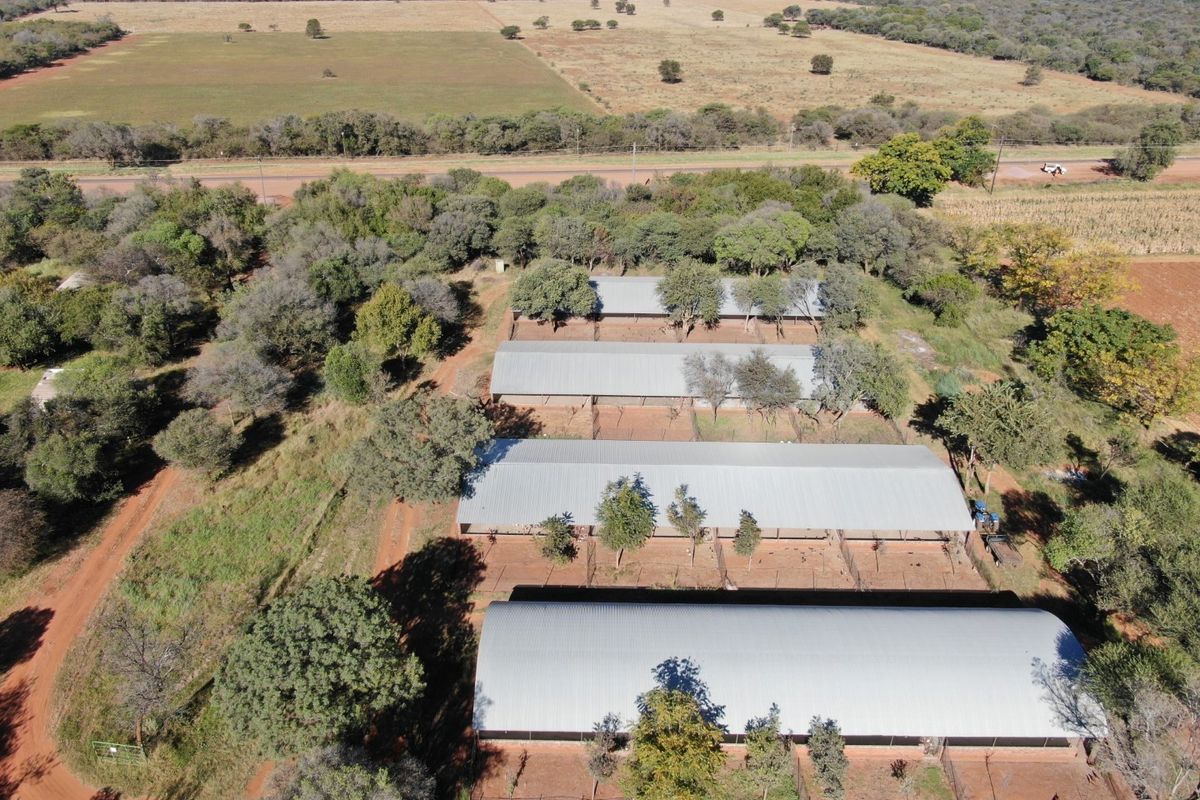 Operational Chicken Farm for Sale - 20 Hectares in Bela Bela - Photo 2