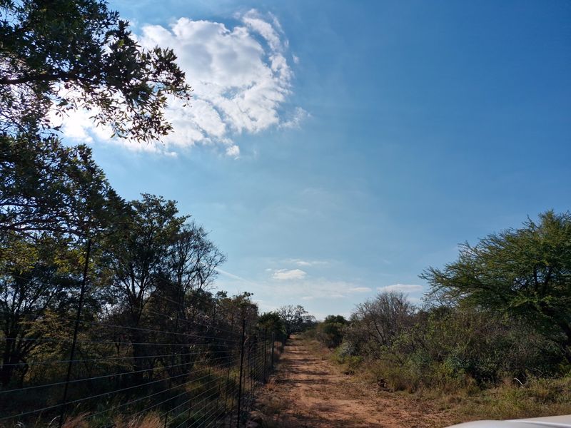 A dirt farm road bordered by a wire perimeter fence and natural bushveld vegetation under a clear blue sky.