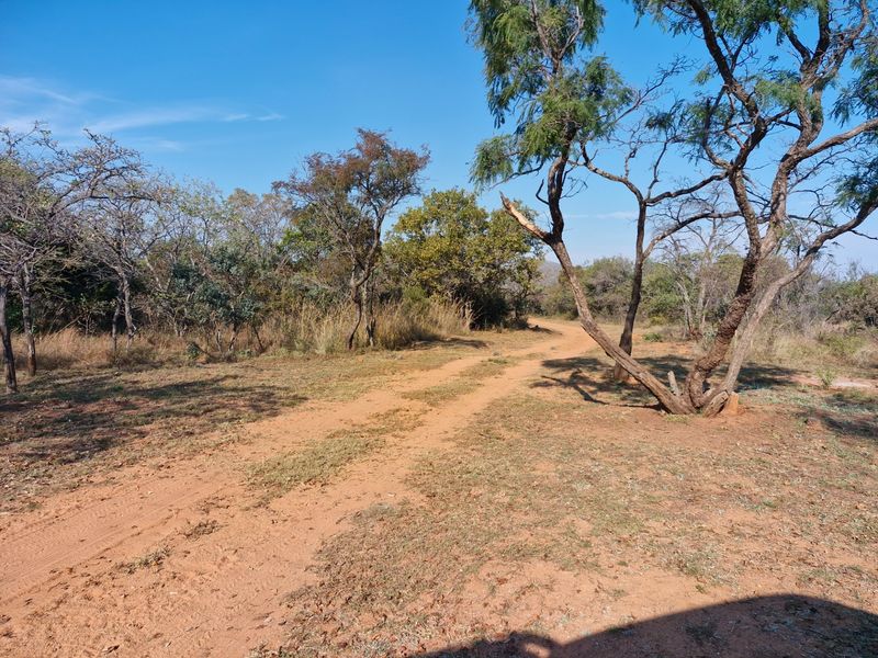 A natural dirt track winding through the open farm landscape, surrounded by indigenous trees and dry grassland under a clear blue sky.