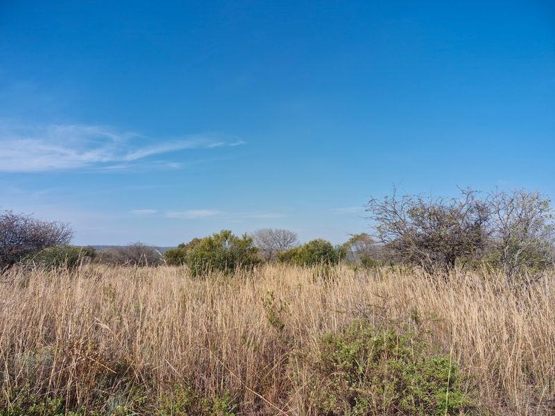 Expansive view of the natural farm landscape featuring dry grassland and indigenous shrubbery under a clear blue sky.