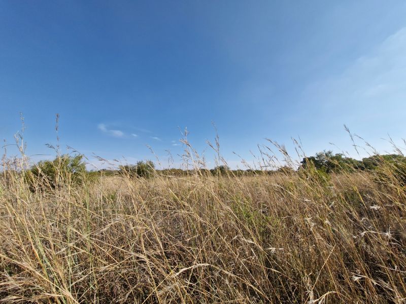 Expansive open landscape featuring natural dry grassland and native vegetation under a clear blue sky.