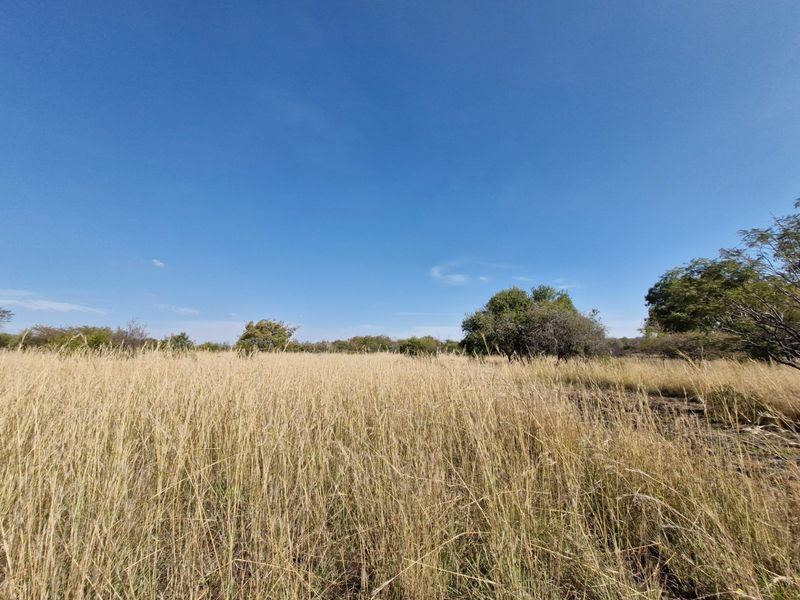 A wide-angle view of the expansive, undeveloped natural landscape and open grassland characteristic of the farm property.