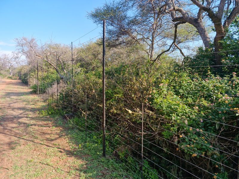 A view of the farm perimeter featuring a wire mesh fence line bordered by dense natural vegetation and trees.