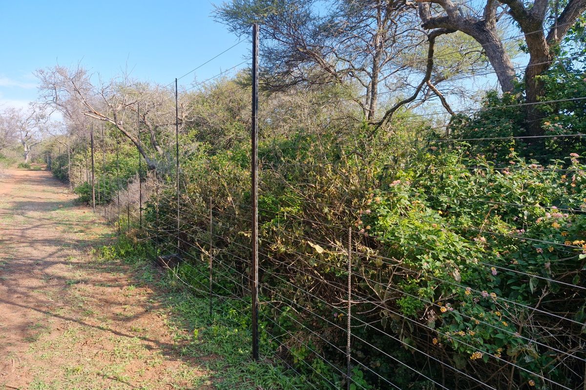 A view of the farm perimeter featuring a wire mesh fence line bordered by dense natural vegetation and trees.