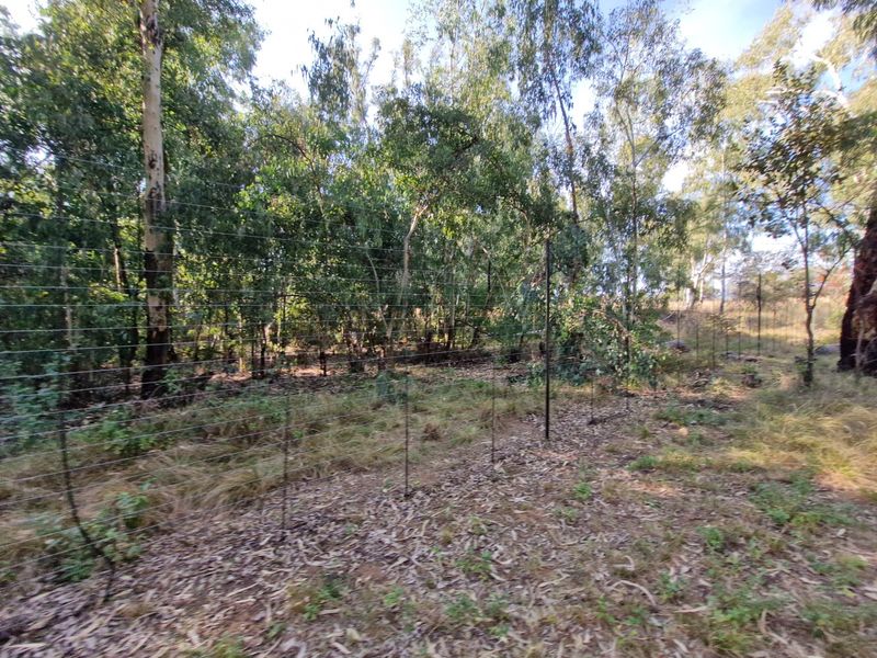 A view of the farm grounds featuring established trees and a wire perimeter fence.